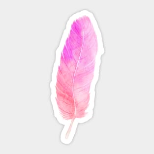 Watercolor pink feather Sticker